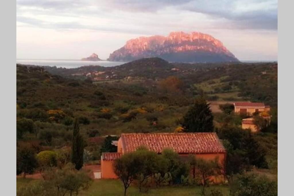 Mare E Campagna Villa เมอร์ตา มาเรีย ภายนอก รูปภาพ
