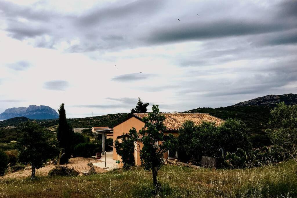Mare E Campagna Villa เมอร์ตา มาเรีย ภายนอก รูปภาพ